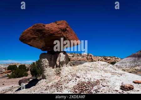 Brown hoodoo nella riserva naturale di bisti Badlands Foto Stock