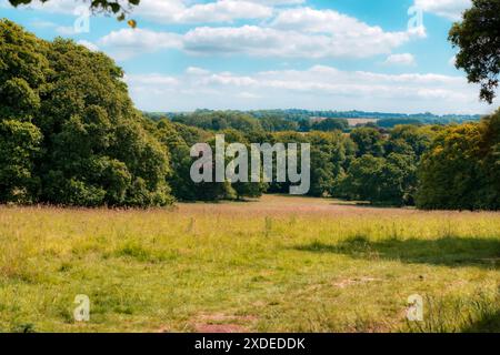 Prato erboso con vista sulle South Downs da Hinton Ampner, Hampshire, Regno Unito Foto Stock