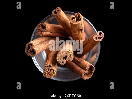 Cannella corteccia in un bicchiere dall'alto. Bastoncini di corteccia cruda di Ceylon e cannella indonesiana, Cinnamomum verum e C. burmanni. Foto Stock