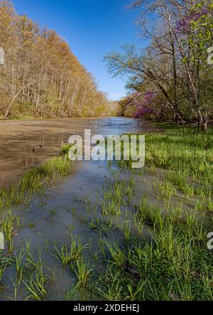 Il fiume Salamonie inonda le sue coste dopo forti piogge primaverili, Salamonie Lake Project, Wabash County, Indiana Foto Stock