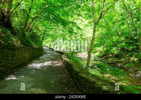 Natural Bridge State Park, Virginia. Foto Stock