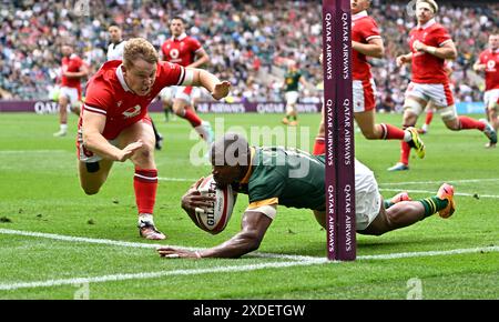 Twickenham, Regno Unito. 22 giugno 2024. Sud Africa V Galles. Stadio di Twickenham. Twickenham . PROVA. Makazole Mapimpi (Sud Africa) si tuffa per segnare la terza meta sudafricana durante la partita di rugby South Africa V Wales, Qatar Airways Cup. Crediti: Sport in foto/Alamy Live News Foto Stock