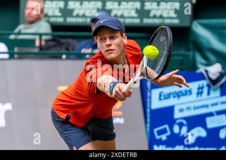 22 giugno 2024, Renania settentrionaleVestfalia, Halle (vestfalia