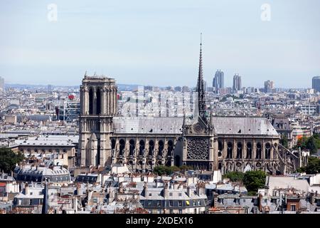 Vista aerea di Notre Dame de Paris dal Pantheon. Foto Stock