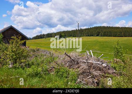 Piccola turbina eolica in un paesaggio prato con legno morto sotto un cielo blu con nuvole di cumulus a Furtwangen im Foresta Nera, Foresta Nera, Foresta Nera Foto Stock