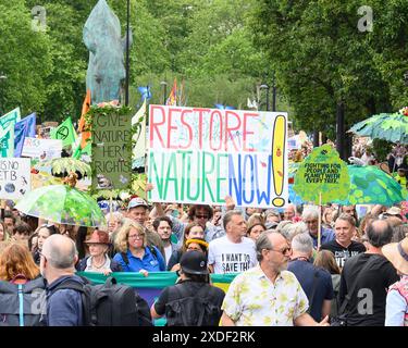 Londra, Regno Unito. 22 giugno 2024. Migliaia camminano per Restore Nature ora guidata dal naturalista Chris Packham. Chiedere un'azione urgente per fermare i cambiamenti climatici e ripristinare la fauna e la flora. Park Lane, Londra, Regno Unito crediti: Mary-Lu Bakker/Alamy Live News Foto Stock