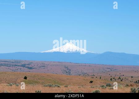 Monte Hood innevato visto nel mese di giugno dalla Highway 97, vicino a Shaniko nella contea di Wasco, Oregon; Mt. Cappuccio in un cielo azzurro e aperto. Foto Stock