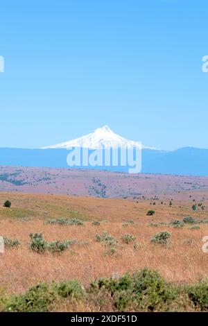 Monte Hood innevato visto nel mese di giugno dalla Highway 97, vicino a Shaniko nella contea di Wasco, Oregon; Mt. Cappuccio in un cielo azzurro e aperto. Foto Stock