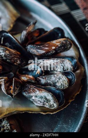 Un piatto di pesce fresco che include granchio, calamari, cozze e una prelibatezza locale alla Laguna di Detwah, Socotra, Yemen Foto Stock