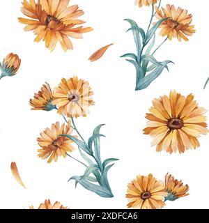 Motivo senza cuciture con fiori, petali di calendula e foglie su sfondo bianco. Foto Stock