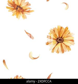Motivo senza cuciture con fiori e petali di calendula su sfondo bianco. Foto Stock