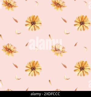 Motivo senza cuciture con fiori e petali di calendula su sfondo rosa. Foto Stock