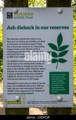 Segno circa la malattia albero cenere dieback, Yorkshire Wildlife Trust avviso, Inghilterra, Regno Unito Foto Stock