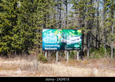 I partner che lavorano in zone umide conservano firmano sulla Trans Canada Highway ad Aulac, New Brunswick, Canada Foto Stock