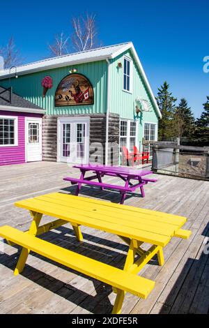 Tavoli da picnic colorati presso il villaggio sul molo di Magnetic Hill a Moncton, New Brunswick, Canada Foto Stock