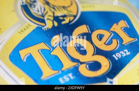 Viersen, Germania - 9 maggio. 2024: Dettaglio primo piano dell'annuncio pubblicitario in metallo Singapore Tiger Beer Foto Stock