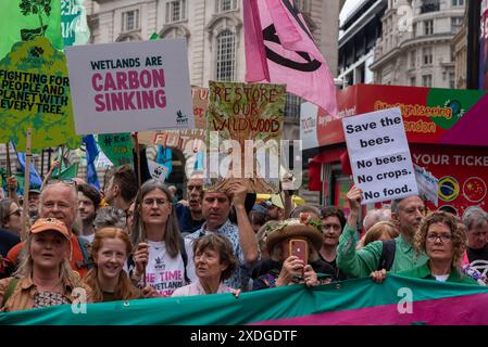 Londra, Regno Unito. 22 giugno 2024. I manifestanti tengono cartelli e bandiere d'onda durante la marcia a Londra. Restore Nature è stato il più grande raduno del Regno Unito per la natura e il clima. Oltre 300 organizzazioni hanno preso il controllo delle strade di Londra. I dimostranti hanno chiesto azioni urgenti per ripristinare la natura e affrontare il cambiamento climatico. Credito: SOPA Images Limited/Alamy Live News Foto Stock