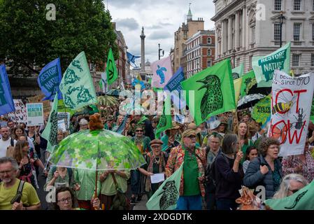 Londra, Regno Unito. 22 giugno 2024. I manifestanti tengono cartelli e bandiere d'onda durante la marcia sulla Whitehall. Restore Nature è stato il più grande raduno del Regno Unito per la natura e il clima. Oltre 300 organizzazioni hanno preso il controllo delle strade di Londra. I dimostranti hanno chiesto azioni urgenti per ripristinare la natura e affrontare il cambiamento climatico. Credito: SOPA Images Limited/Alamy Live News Foto Stock