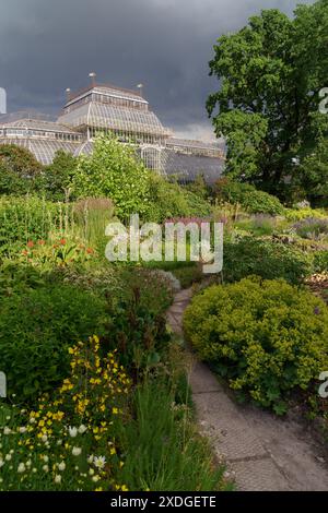 Serra tropicale, giardino botanico. Territorio di orangerie con piante ornamentali in fiore Foto Stock