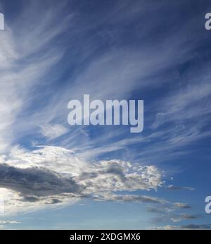 Mattina, cielo azzurro e nuvole all'aperto, con condizioni atmosferiche favorevoli all'umidità, ai cambiamenti climatici o all'ambiente. Vuoto, natura e aria con skyline per il paradiso, pulito Foto Stock