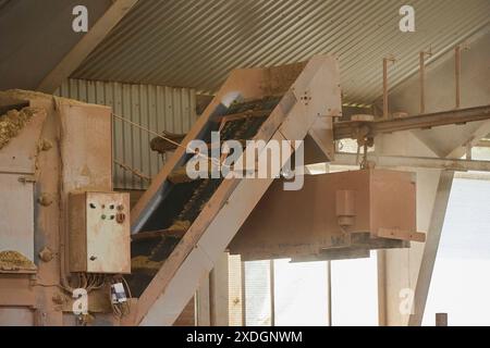 Una macchina automatica che consegna il fieno alle mucche di un'azienda agricola in Danimarca Foto Stock