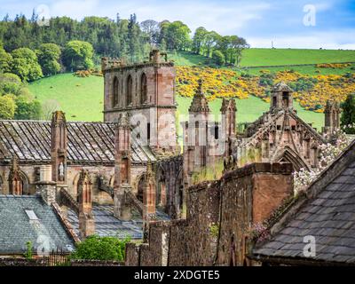 Le rovine dell'abbazia di Melrose nella regione di confine della Scozia, viste contro la collina oltre il fiume Tweed. Foto Stock