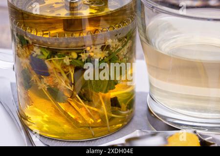 Tiglio con fiori e foglie in pressa francese e in vetro, tè curativo alle erbe e soppressore della tosse, primo piano Foto Stock