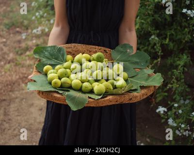 Una donna in abito nero che tiene in mano un vassoio di sughero pieno di fichi verdi maturi in un giardino sardo. Primo piano orizzontale. Foto Stock