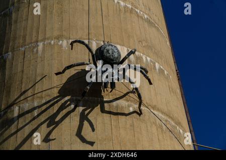 Urana, nuovo Galles del Sud, Australia, 22 giugno 2024: La seconda più grande scultura di ragno al mondo creata da Andrew Whitehead Foto Stock