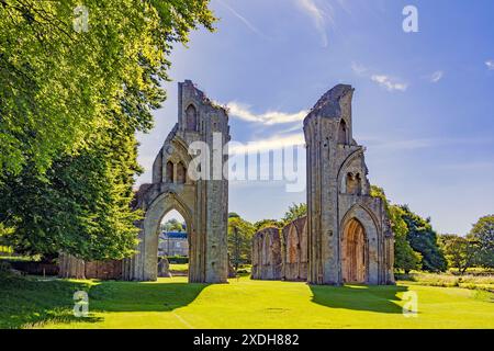 Le rovine dell'abbazia di Glastonbury risalgono all'VIII secolo e sono ora un monumento antico programmato, Somerset, Inghilterra, Regno Unito Foto Stock