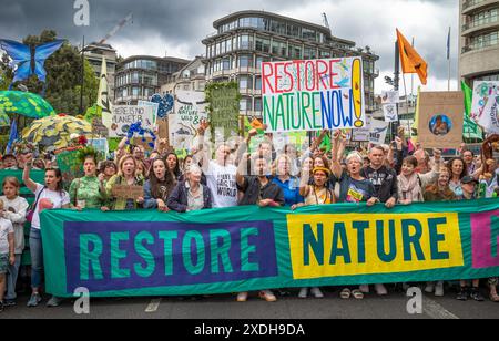 Londra / Regno Unito - 22 giugno 2024: Celebrità Chris Packham, Emma Thomson, Dave Vince, Caroline Lucas davanti al Restore Nature Now March for Environmental Protection. Le organizzazioni presenti includevano RSPB, WWF, National Trust, Extinction Rebellion e altri. Foto Stock