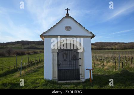 Attraversamento a lato strada sul sentiero escursionistico "Kirschblütenweg" nel Burgenland, Austria, Europa Foto Stock