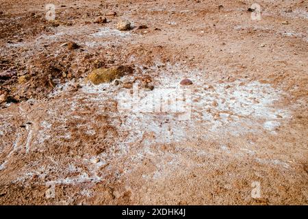 Una vista ravvicinata del suolo salino del deserto, che mostra gli intricati schemi di cristalli di sale in mezzo a un terreno arido. Foto Stock