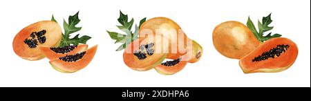 Papaya acquerello isolata su sfondo bianco. Set di disegni disegnati a mano di frutta matura tropicale. Cafe' e design del menu' Foto Stock