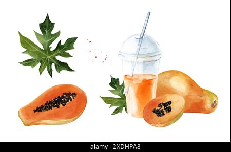 Papaya acquerello isolata su sfondo bianco. Set di disegni disegnati a mano di frutta matura tropicale e succo di frutta. Cafe' e design del menu' Foto Stock