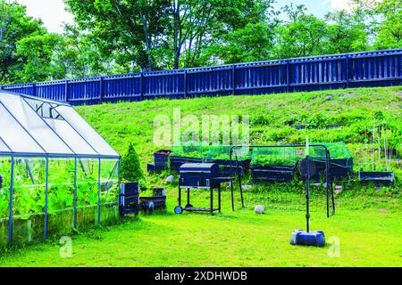 Splendida vista sul giardino privato con serra, barbecue, letti di fragole rialzati e parco giochi per bambini con obiettivi di calcio. Svezia. Foto Stock