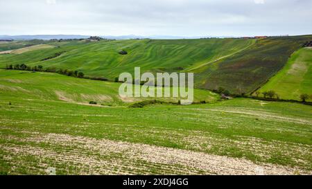 Asciano, Italia - 29 aprile 2023: Paesaggio toscano con dolci colline nei pressi di Asciano. Crete Senesi. Italia, Europa Foto Stock