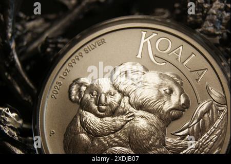 Nuova moneta australiana d'argento puro in capsula 1 dollaro Koala 2023 primo piano Foto Stock