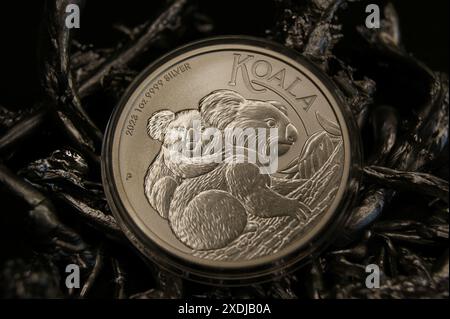 Moneta australiana d'argento puro in capsula 1 dollaro Koala 2023 primo piano Foto Stock