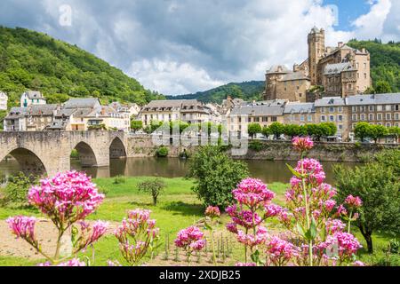 Villaggio di Estaing, il suo castello e il suo ponte medievale sul fiume Lot fotografati ad Aveyron, promossi dai più bei villaggi della Francia associat Foto Stock