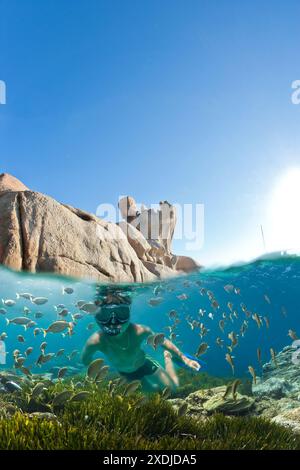 FRANCIA. CORSE DU SUD (2A) PENISOLA ISOLELLA SULLA SPONDA MERIDIONALE DEL GOLFO DI AJACCIO. PUNTA DI SETTE NAVATA Foto Stock