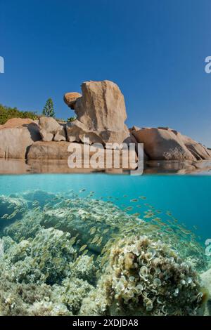 FRANCIA. CORSE DU SUD (2A) PENISOLA ISOLELLA SULLA SPONDA MERIDIONALE DEL GOLFO DI AJACCIO. PUNTA DI SETTE NAVATA Foto Stock