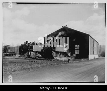 Elmira Holding e punto di rispedizione, Elmira, New York. Capannone per locomotive. Collezione Gottscho-Schleisner Foto Stock