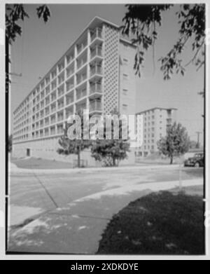 Stamford Housing Authority. Vista generale degli edifici. Collezione Gottscho-Schleisner Foto Stock