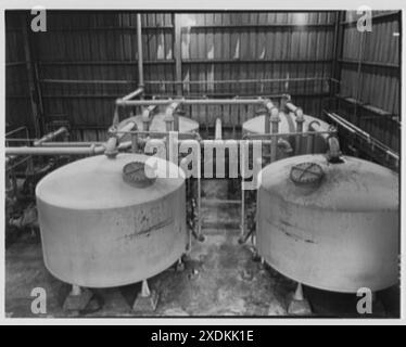 Dominion Alkali & Chemical Co., Ltd., Beaunhois [ad es. Beauharnois], Canada. Filtri per salamoia. Collezione Gottscho-Schleisner Foto Stock