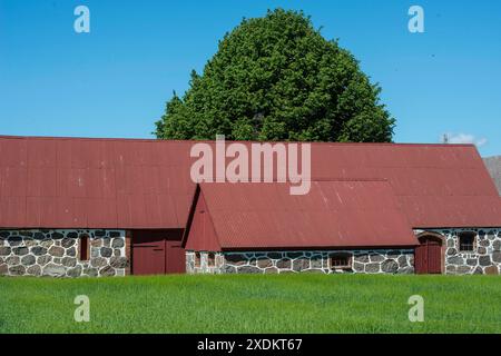 La vecchia fattoria tipica della Svezia meridionale è stata costruita con grandi pietre naturali a Hagestad, nella municipalità di Ystad, nella contea di Skane, in Svezia Foto Stock