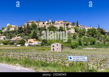 Tipico vigneto con strada del vino (Route Touristique des Cotes du Rhone) vicino a Faucon, Cotes du Rhone, Francia Foto Stock