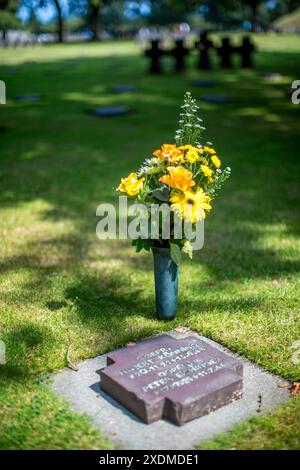 Cimitero militare tedesco in Normandia, Francia, con una tomba adornata con fiori gialli. Cupo luogo di ricordo sotto gli alberi. Foto Stock