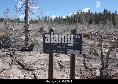 Ultimo segnale di eruzione importante al geyser Steamboat nel bacino del geyser Norris, parco nazionale di Yellowstone, Wyoming, Stati Uniti Foto Stock
