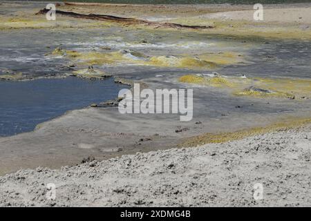 Lago Sour sul sentiero del vulcano fango Parco Nazionale di Yellowstone , Wyoming ; USA Foto Stock